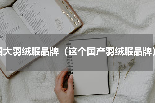 四大羽绒服品牌（这个国产羽绒服品牌）