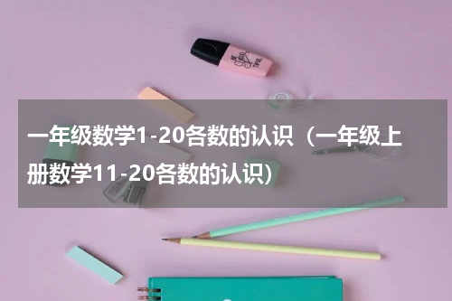 一年级数学1-20各数的认识（一年级上册数学11-20各数的认识）