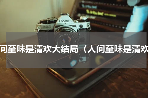人间至味是清欢大结局（人间至味是清欢）