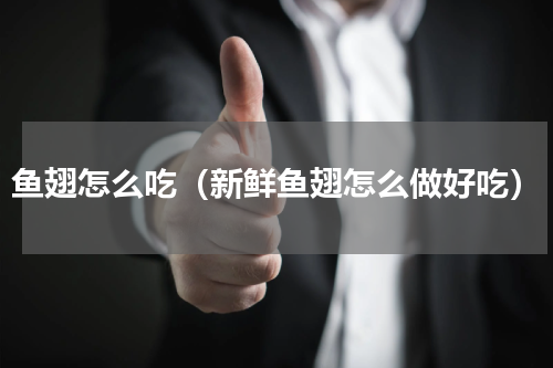 鱼翅怎么吃（新鲜鱼翅怎么做好吃）