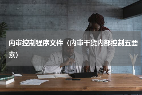 内审控制程序文件（内审干货内部控制五要素）