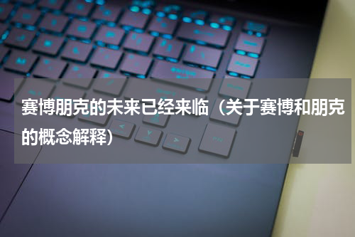 赛博朋克的未来已经来临（关于赛博和朋克的概念解释）