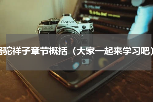 骆驼祥子章节概括（大家一起来学习吧）