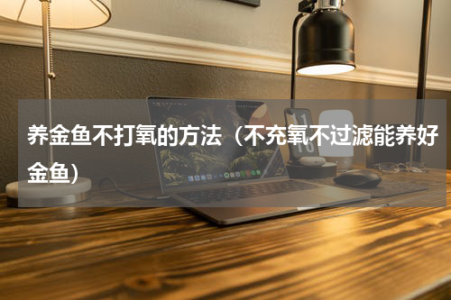 养金鱼不打氧的方法（不充氧不过滤能养好金鱼）
