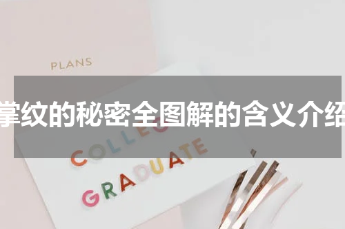 掌纹的秘密全图解的含义介绍
