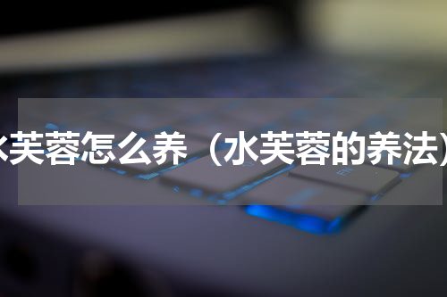 水芙蓉怎么养（水芙蓉的养法）
