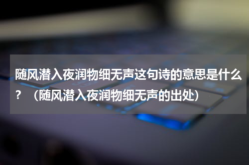 随风潜入夜润物细无声这句诗的意思是什么？（随风潜入夜润物细无声的出处）