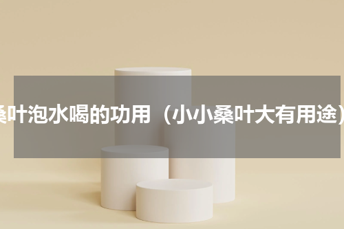桑叶泡水喝的功用（小小桑叶大有用途）