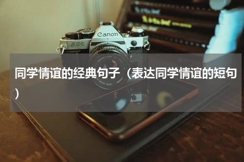 同学情谊的经典句子（表达同学情谊的短句）