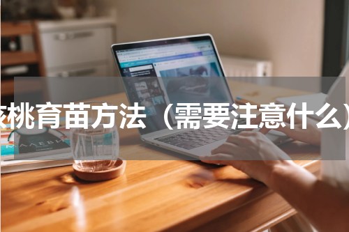 核桃育苗方法（需要注意什么）