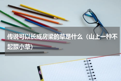传说可以长成房梁的草是什么（山上一种不起眼小草）