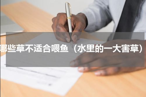 哪些草不适合喂鱼（水里的一大害草）