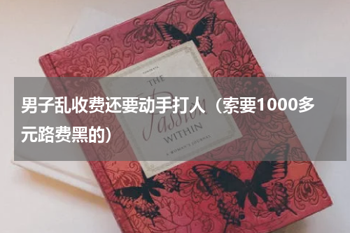 男子乱收费还要动手打人（索要1000多元路费黑的）