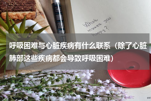 呼吸困难与心脏疾病有什么联系（除了心脏肺部这些疾病都会导致呼吸困难）