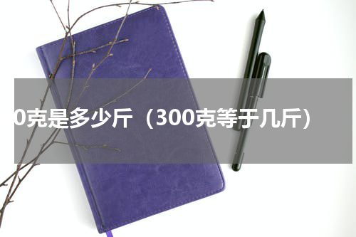 300克是多少斤（300克等于几斤）