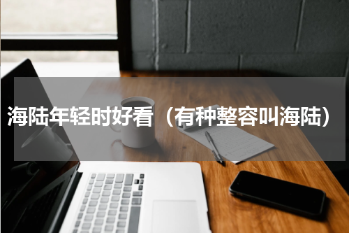 海陆年轻时好看（有种整容叫海陆）