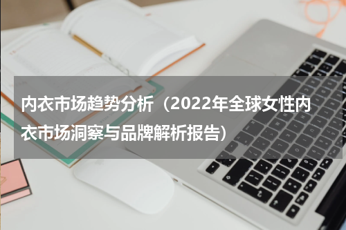 内衣市场趋势分析（2022年全球女性内衣市场洞察与品牌解析报告）