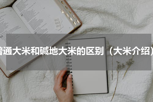 普通大米和碱地大米的区别（大米介绍）