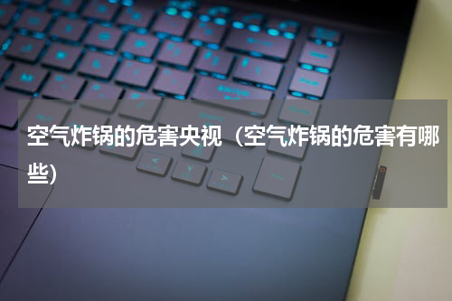 空气炸锅的危害央视（空气炸锅的危害有哪些）