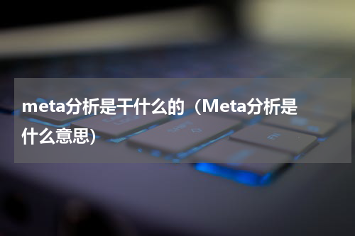 meta分析是干什么的（Meta分析是什么意思）
