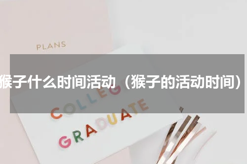 猴子什么时间活动（猴子的活动时间）