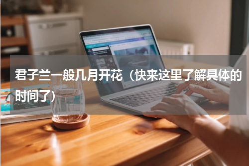 君子兰一般几月开花（快来这里了解具体的时间了）
