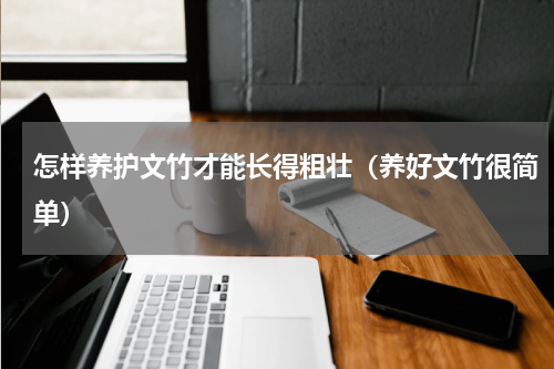 怎样养护文竹才能长得粗壮（养好文竹很简单）