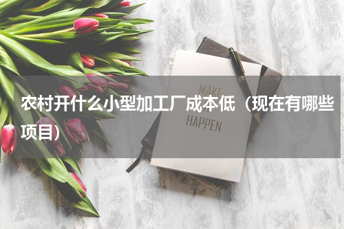 农村开什么小型加工厂成本低（现在有哪些项目）