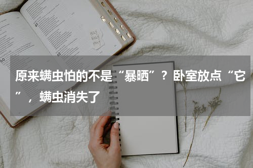 原来螨虫怕的不是“暴晒”？卧室放点“它”，螨虫消失了