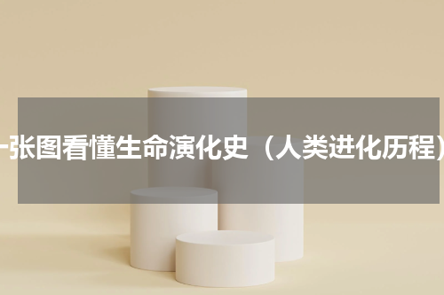 一张图看懂生命演化史（人类进化历程）