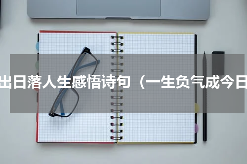 日出日落人生感悟诗句（一生负气成今日）