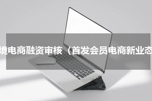 跨境电商融资审核（首发会员电商新业态）