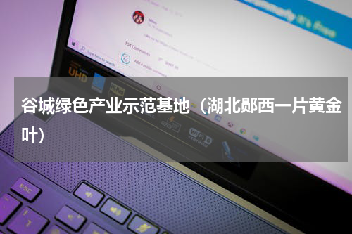 谷城绿色产业示范基地（湖北郧西一片黄金叶）