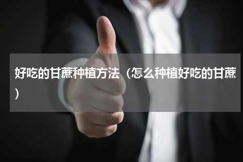 好吃的甘蔗种植方法（怎么种植好吃的甘蔗）
