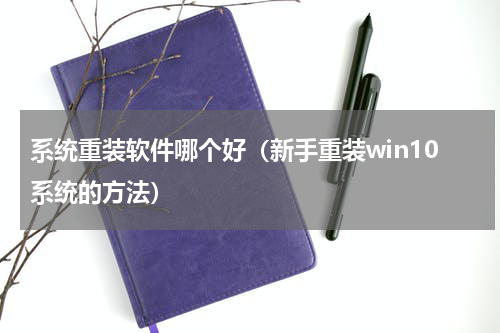系统重装软件哪个好（新手重装win10系统的方法）