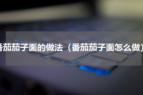 番茄茄子面的做法（番茄茄子面怎么做）