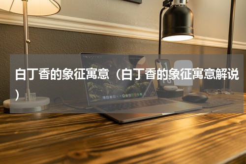 白丁香的象征寓意（白丁香的象征寓意解说）