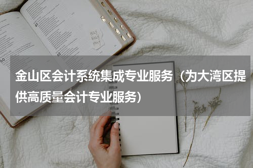 金山区会计系统集成专业服务（为大湾区提供高质量会计专业服务）