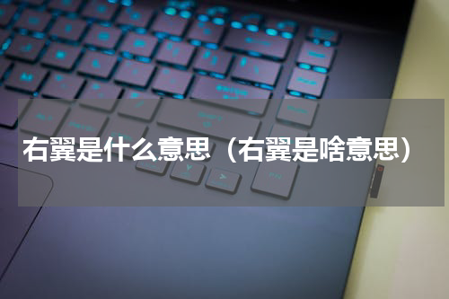 右翼是什么意思（右翼是啥意思）