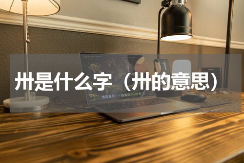 卅是什么字（卅的意思）
