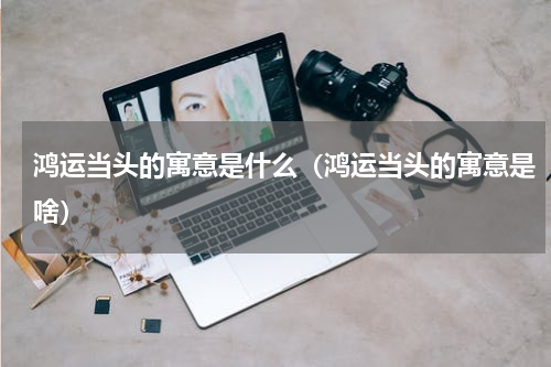 鸿运当头的寓意是什么（鸿运当头的寓意是啥）