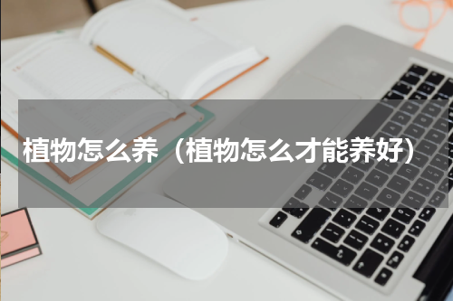 植物怎么养（植物怎么才能养好）