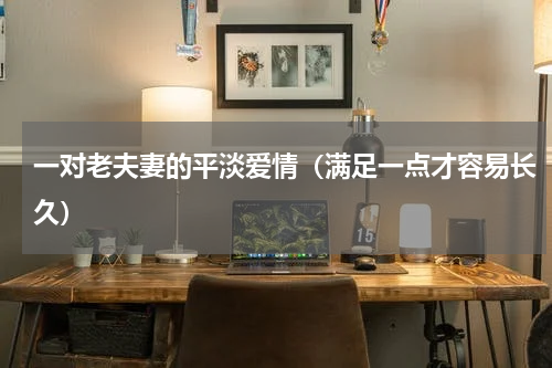 一对老夫妻的平淡爱情（满足一点才容易长久）