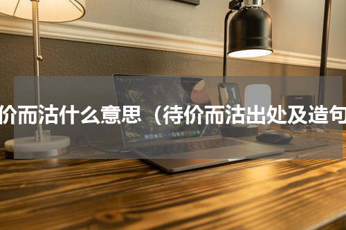 待价而沽什么意思（待价而沽出处及造句）