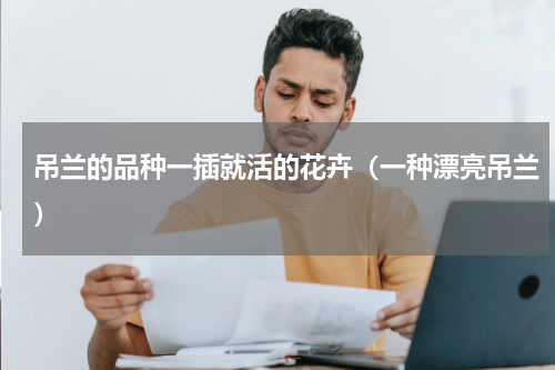 吊兰的品种一插就活的花卉（一种漂亮吊兰）