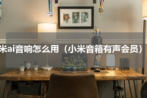 小米ai音响怎么用（小米音箱有声会员）