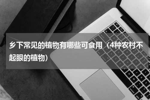 乡下常见的植物有哪些可食用（4种农村不起眼的植物）