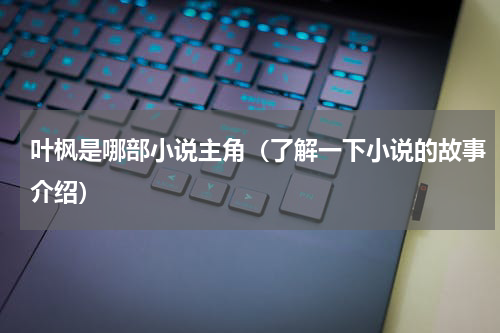 叶枫是哪部小说主角（了解一下小说的故事介绍）