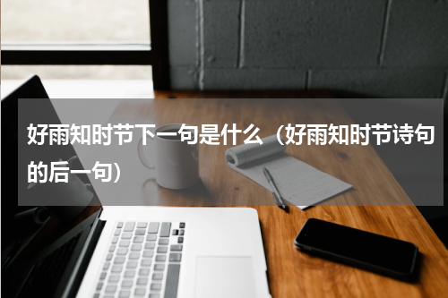 好雨知时节下一句是什么（好雨知时节诗句的后一句）