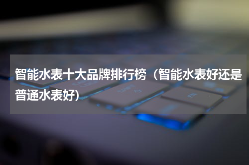 智能水表十大品牌排行榜（智能水表好还是普通水表好）